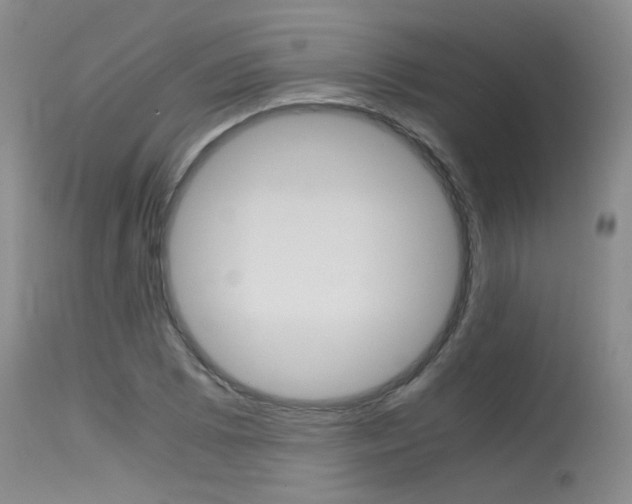 X0000115541073200911061145