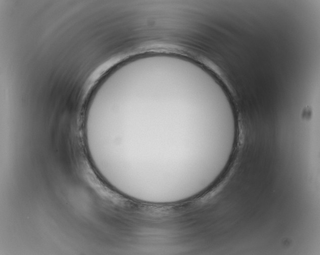 X0000115541074200911061145