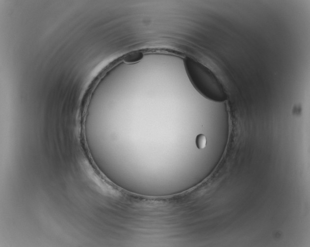 X0000115541076200911061145