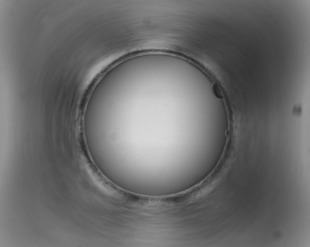 X0000115541077200911061145