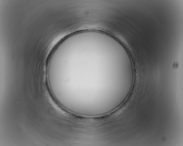 X0000115541079200911061145