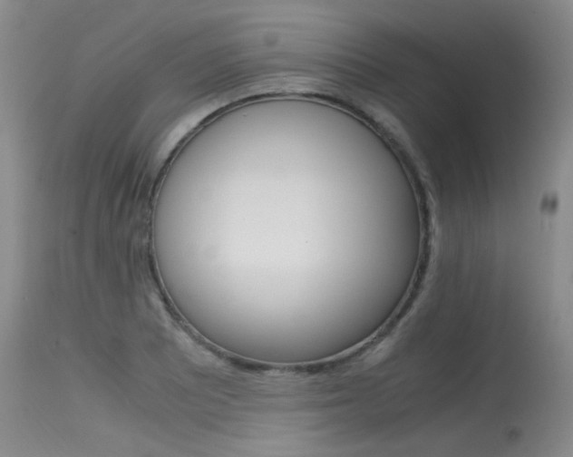 X0000115541081200911061145