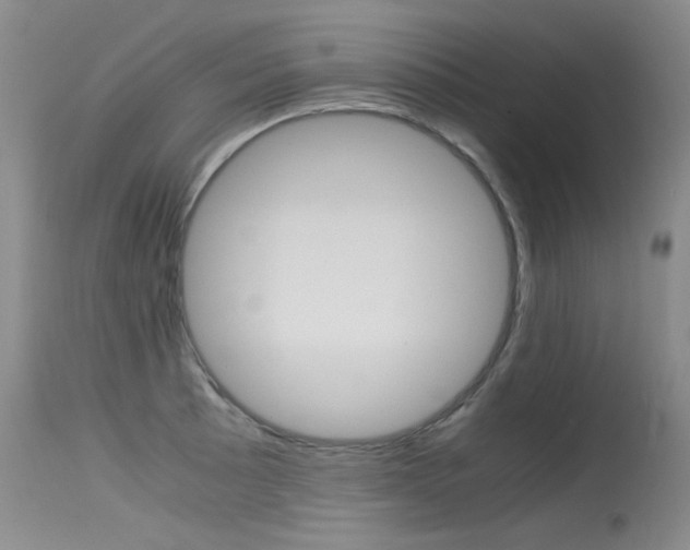 X0000115541089200911061145