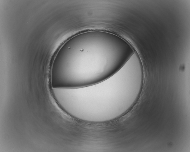 X0000115541093200911061145