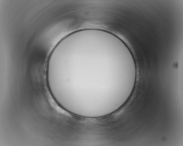 X0000115541094200911061145