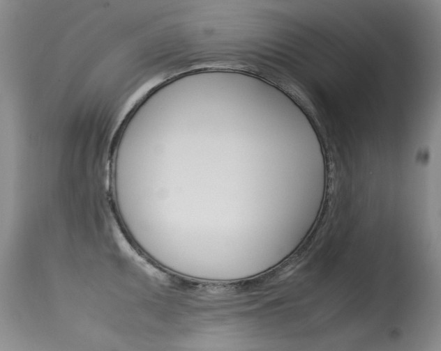 X0000115541095200911061145