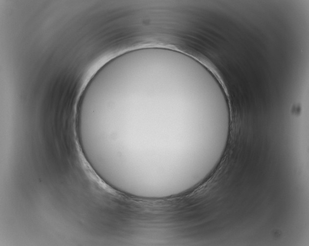 X0000115541096200911061145