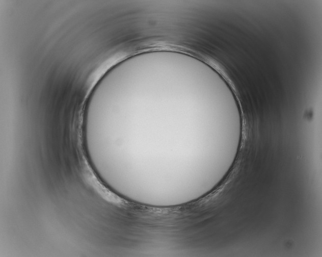 X0000115541098200911061145