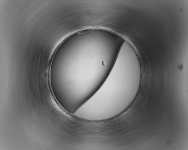 X0000115541100200911061145