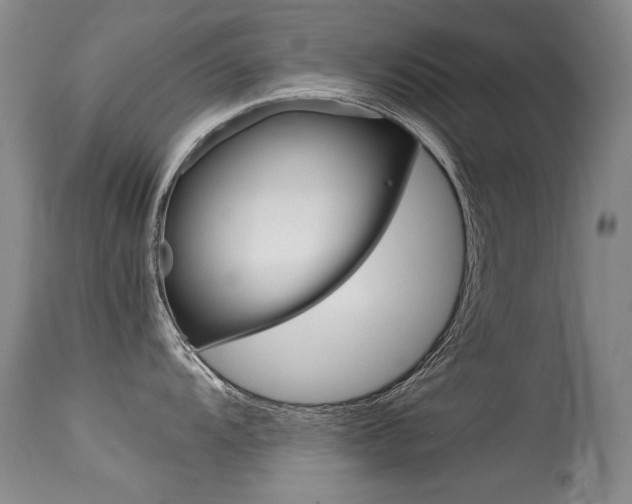 X0000115541104200911061145