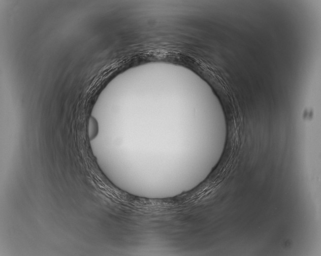 X0000115541105200911061144
