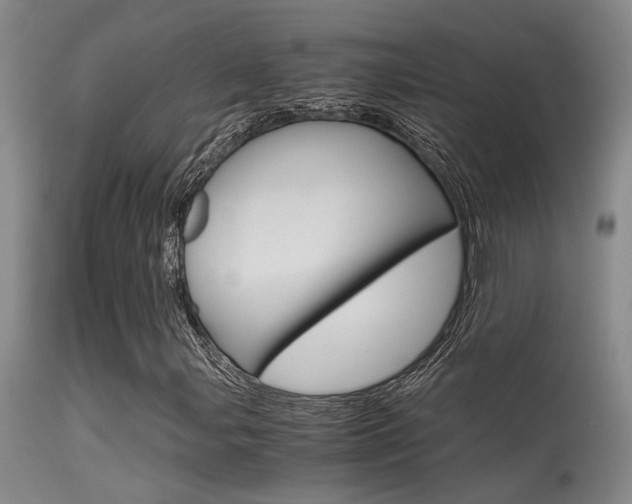 X0000115541107200911061144
