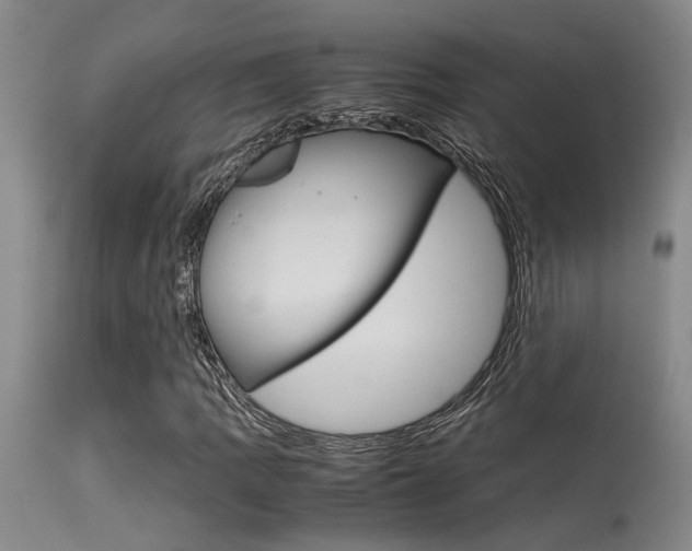 X0000115541109200911061144