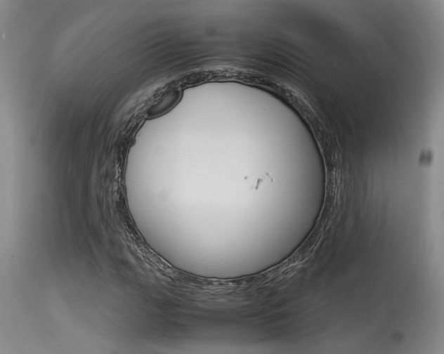 X0000115541111200911061144