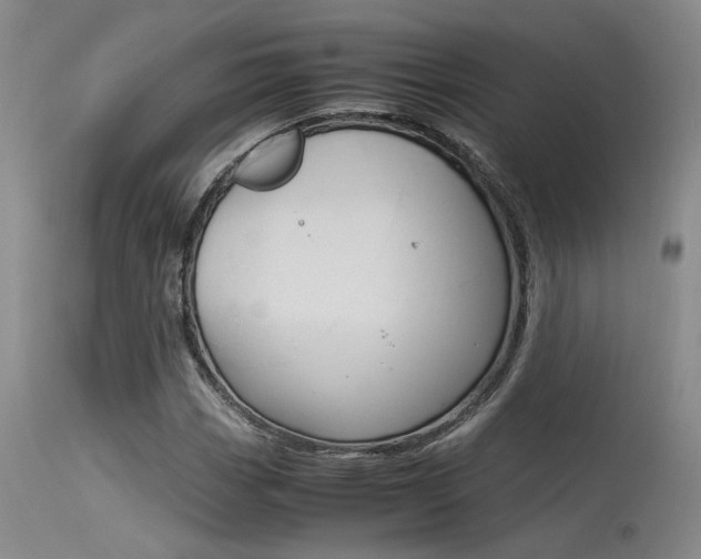 X0000115541113200911061144