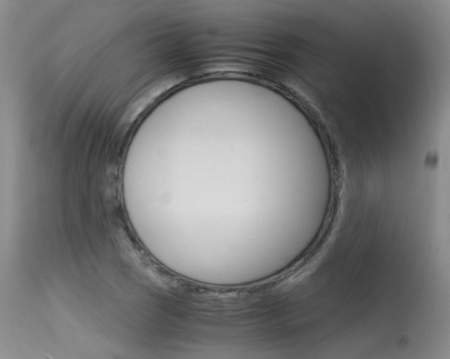 X0000115541121200911061144