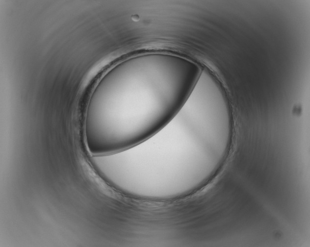 X0000115541122200911061144