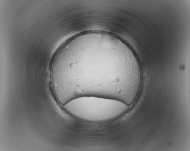 X0000115541125200911061144