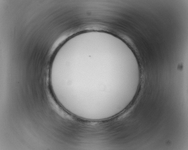 X0000115541130200911061144