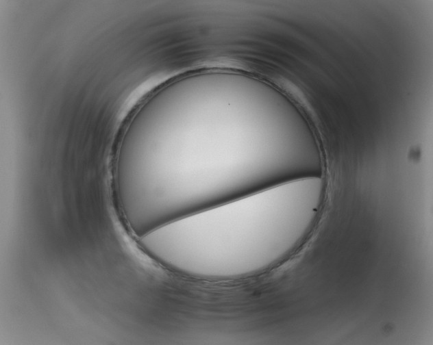 X0000115541133200911061144