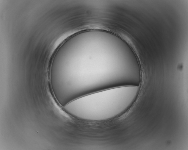 X0000115541141200911061144