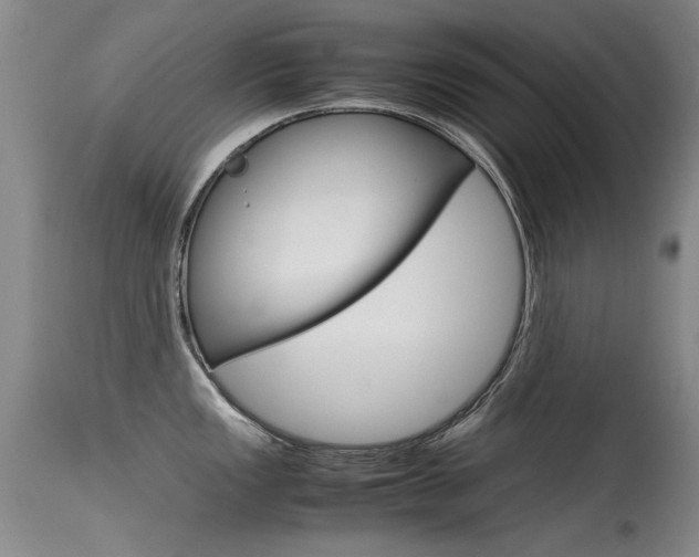 X0000115541149200911061145