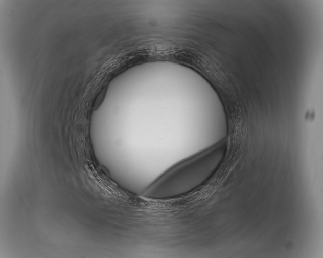 X0000115541153200911061144