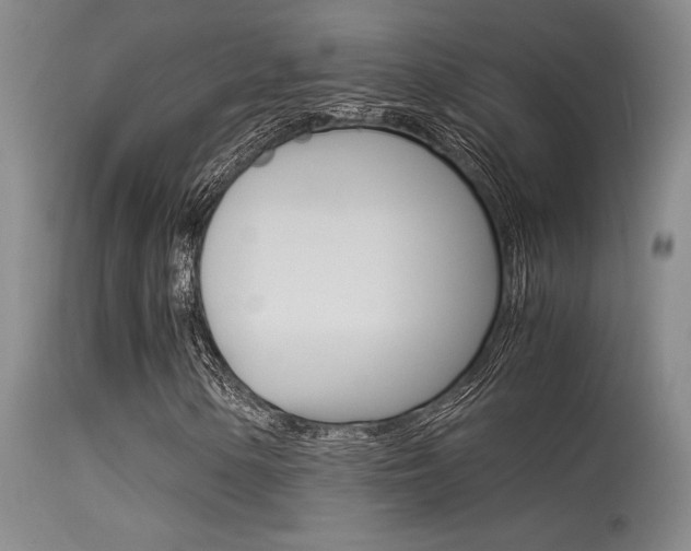 X0000115541154200911061144
