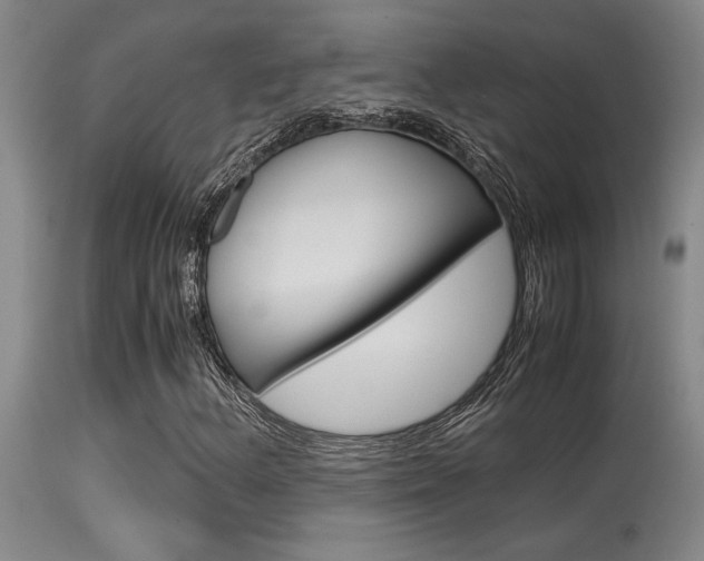 X0000115541156200911061144
