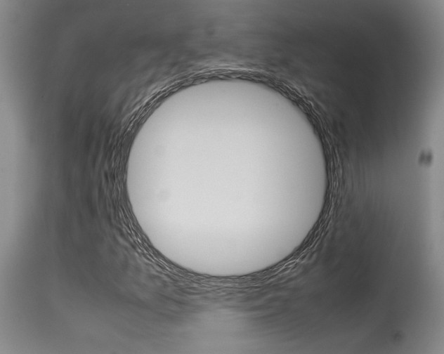 X0000115541157200911061144