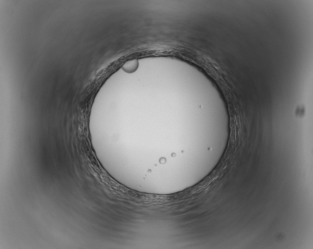 X0000115541158200911061143