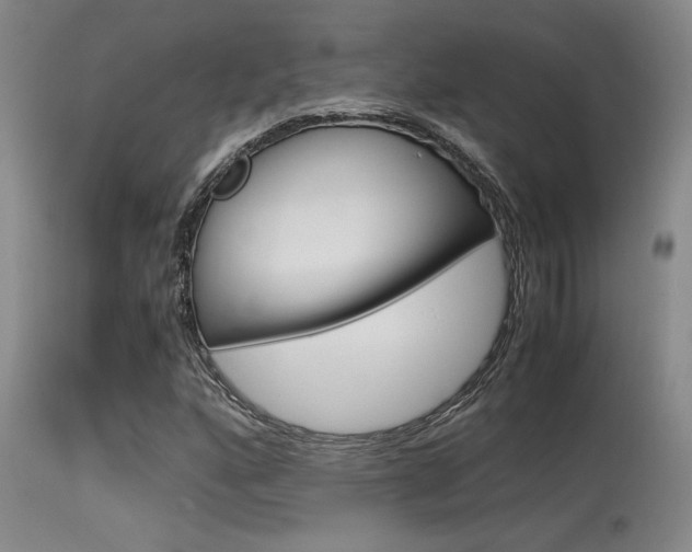 X0000115541160200911061143