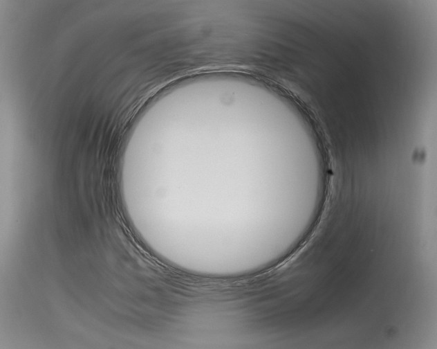 X0000115541161200911061143