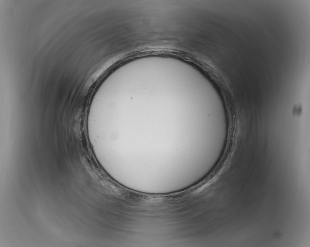X0000115541162200911061143