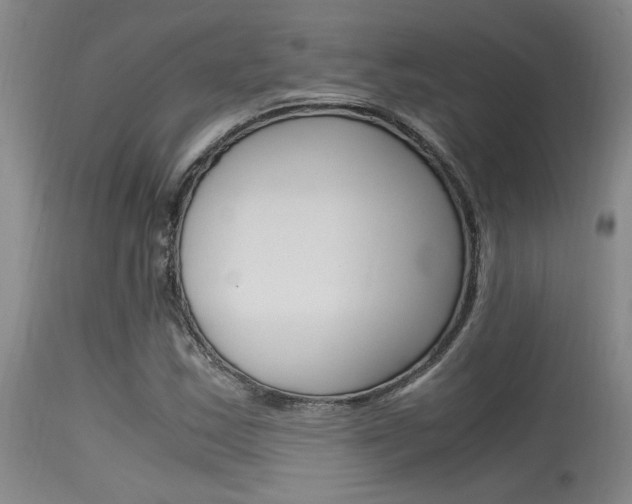 X0000115541163200911061143