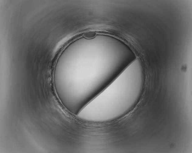 X0000115541164200911061143
