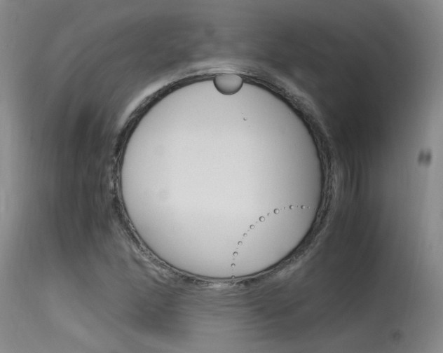 X0000115541166200911061143