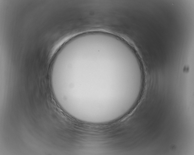 X0000115541167200911061143