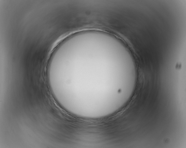 X0000115541168200911061143