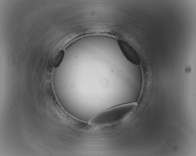 X0000115541169200911061143