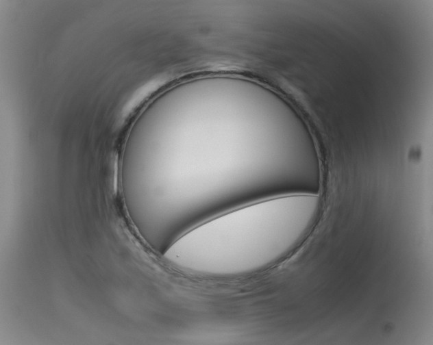 X0000115541171200911061143