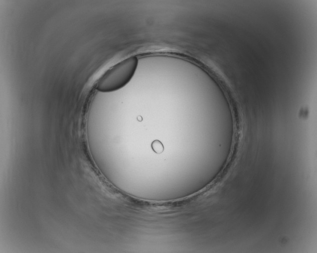 X0000115541173200911061143