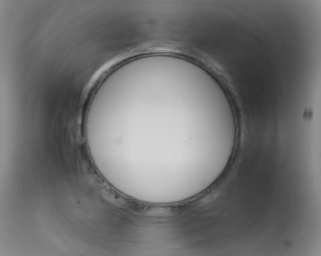 X0000115541174200911061143