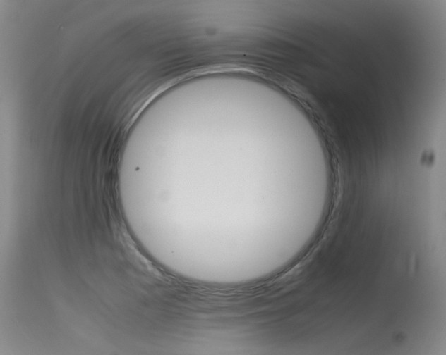X0000115541177200911061143