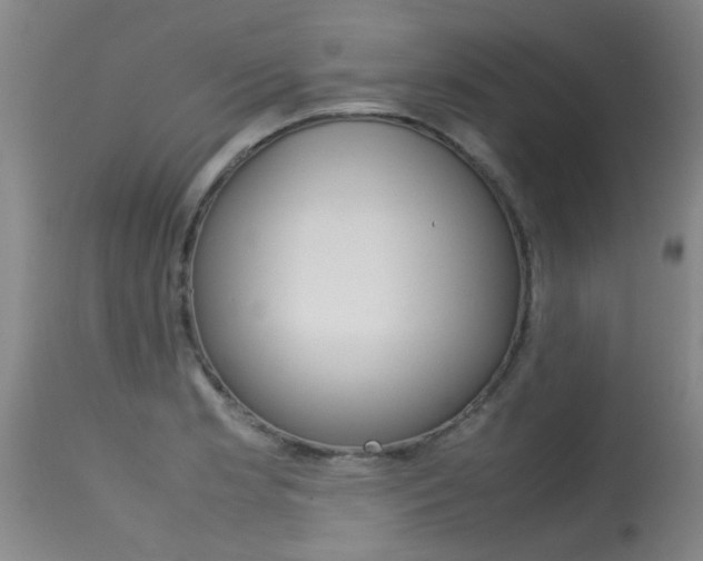 X0000115541181200911061143