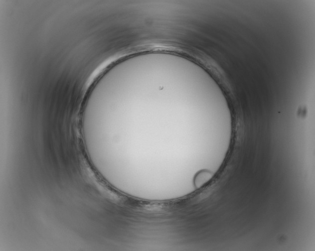 X0000115541182200911061143
