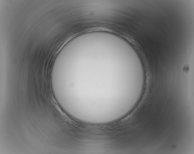X0000115541185200911061143