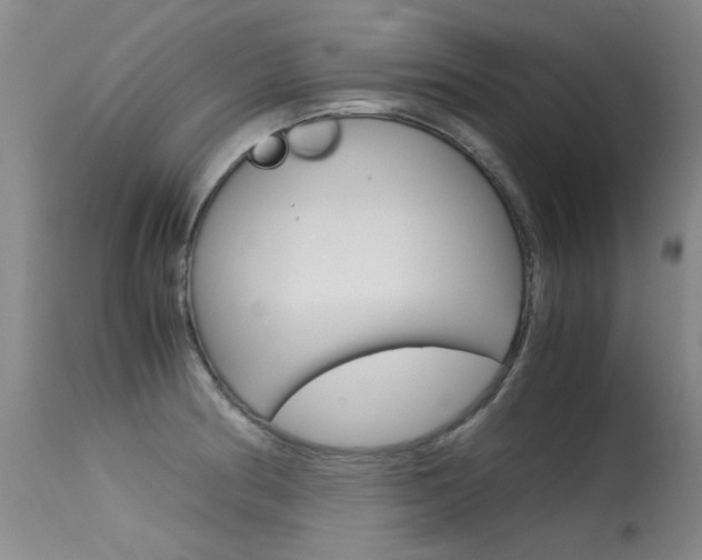 X0000115541186200911061143