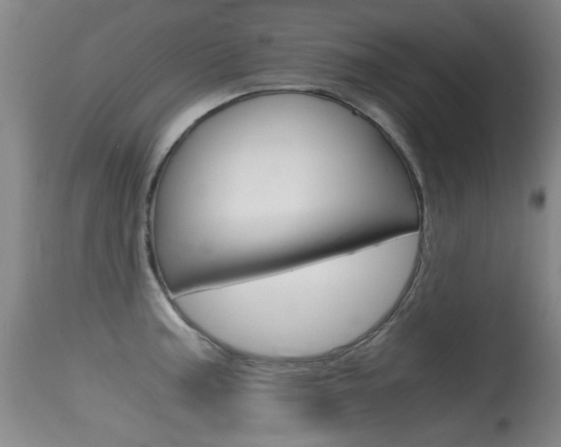 X0000115541187200911061143