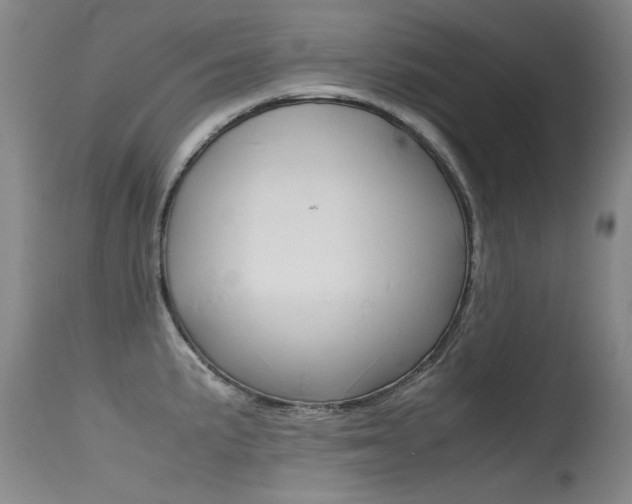 X0000115541191200911061143